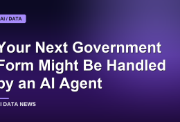 Your Next Government Form Might Be Handled by an AI Agent