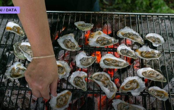 Cultivated Seafood Grows From Fish Cells