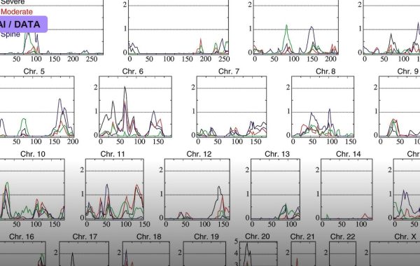 Genome-Wide Association Studies Scale to Millions