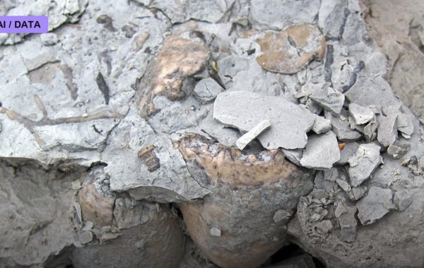 Carbon-Capture Cement Tackles a Stubborn Emitter