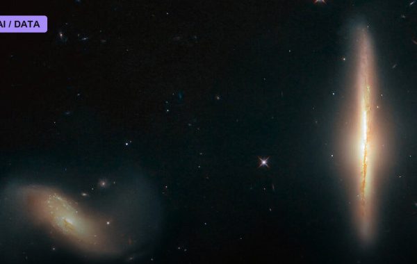 Wormhole Dynamics Are Simulated on a Quantum Processor