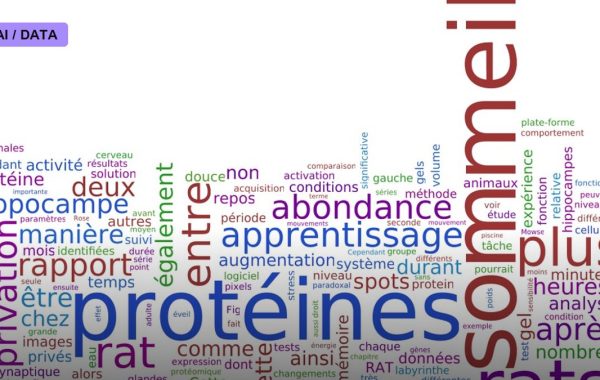 Protein Language Models Learn Biology From Sequence