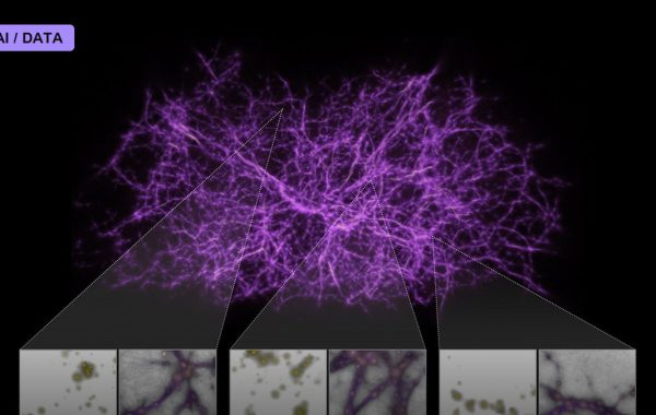 Mapping the Cosmic Web With Giant Surveys