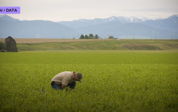 Nitrogen-Fixing Crops and the Fertilizer Dream
