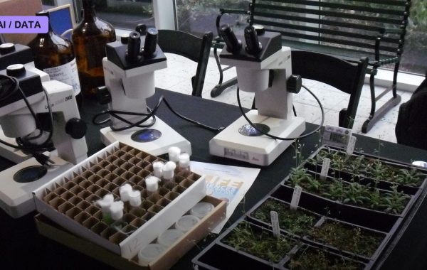 Epigenetic Clocks and the Measurement of Aging
