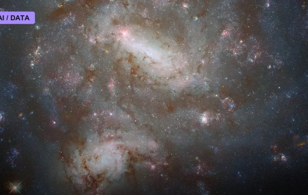 The Muon’s Wobble Hints at New Physics