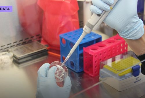 AbbVie Bets on Iambic's AI to Hunt for Its Next Blockbuster Drug