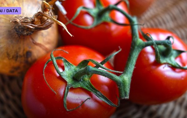 Nutrition Startups Berry Street and Healthify Merge to Ride the GLP-1 and AI Coaching Wave